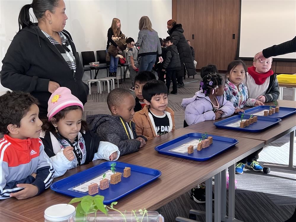  Kindergarten students enjoy a multisensory activity exploring seeds and plants.